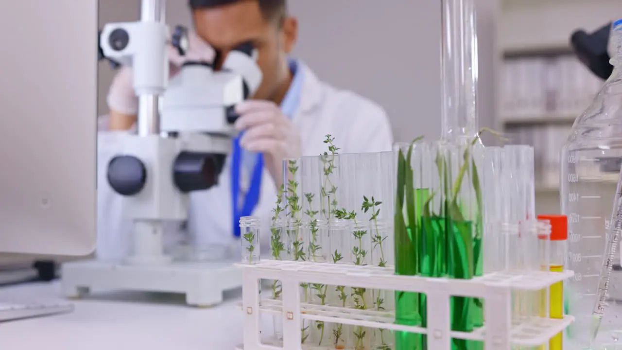 Plant science microscope and a man