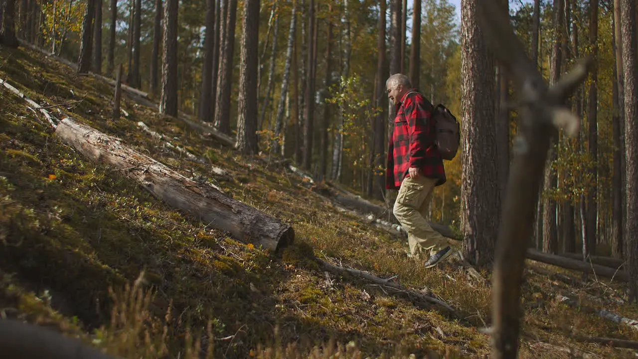 lost man is walking in woodland tired hiker is looking for a path exploring landscape carrying backpack