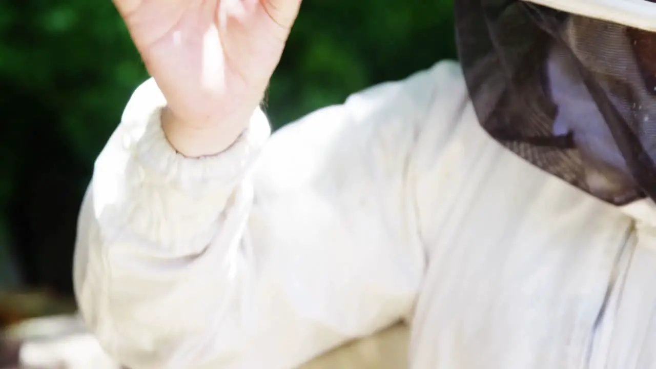 Beekeeper holding a piece of fresh honeycomb 