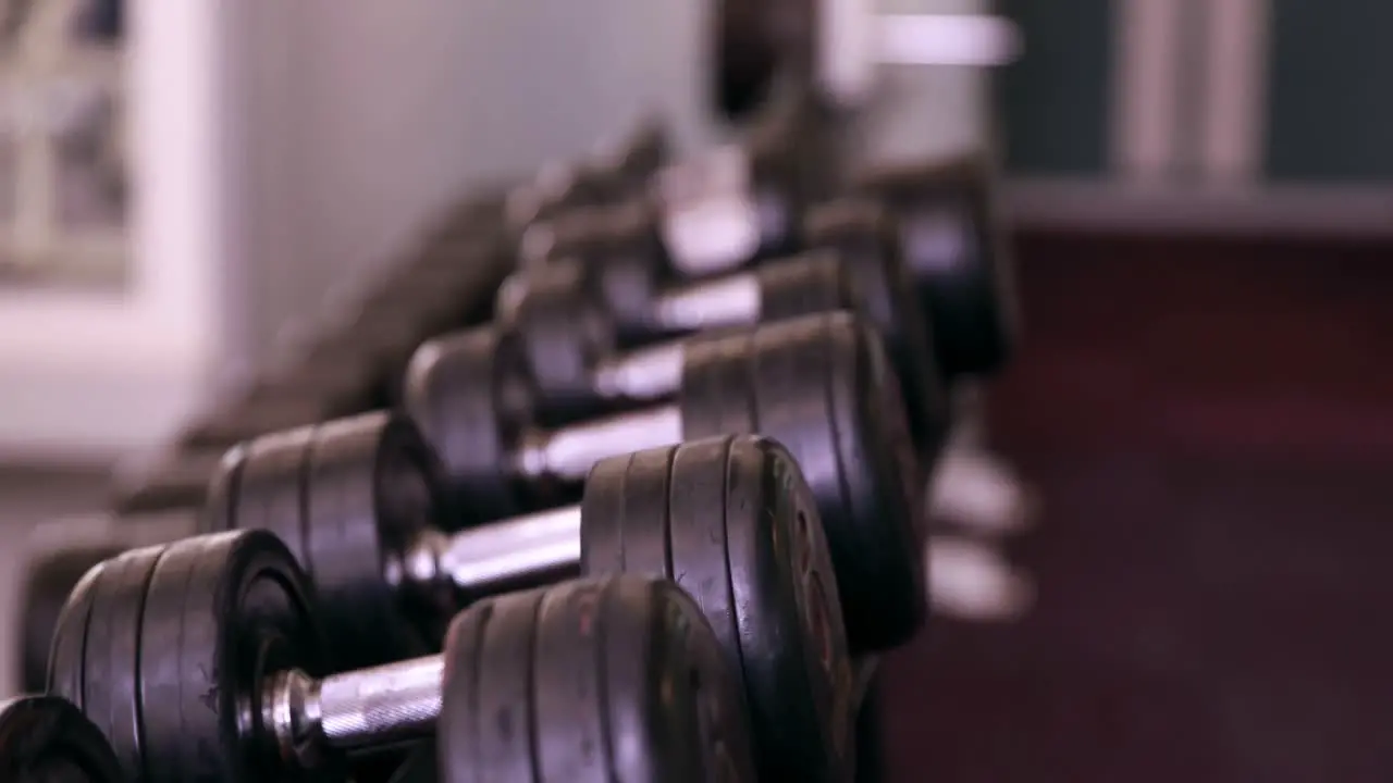 Rack of heavy black dumbbells