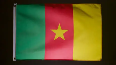 Studio Shot Of Flag Of Cameroon Falling Down Against Black Background