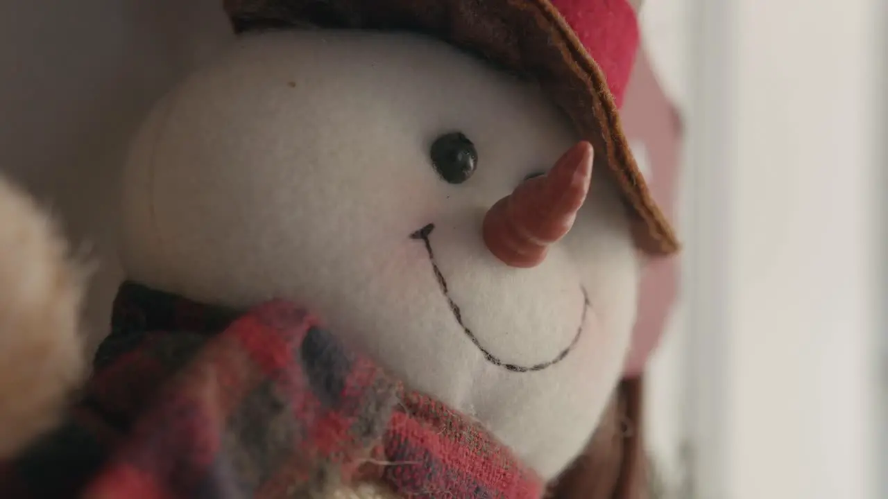 Detail shot of snowman christmas ornament