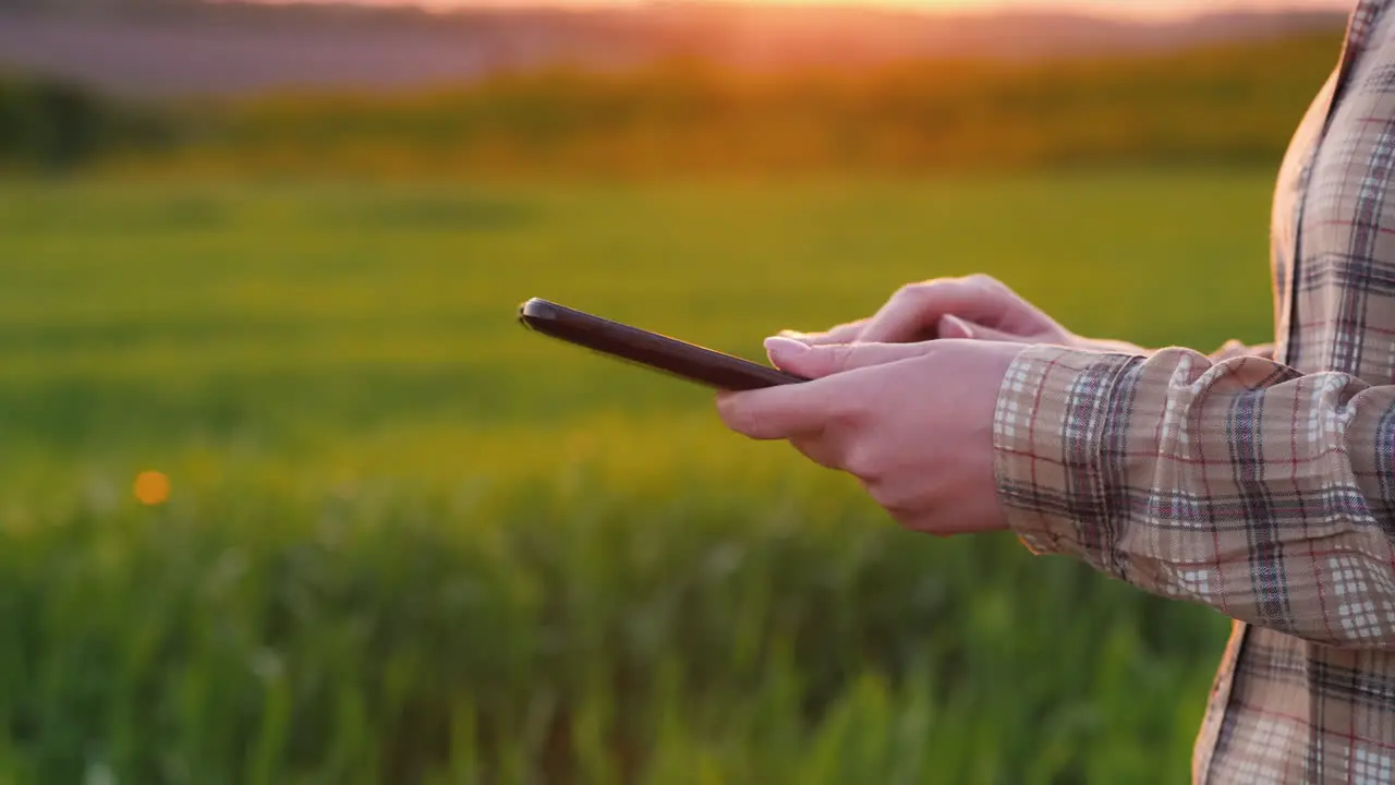 Farmer's Hands With A Tablet Against The Background Of A Green Wheat Field