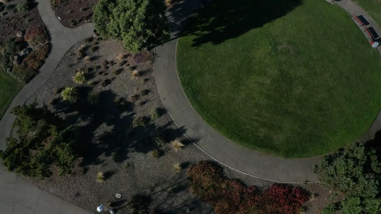 Business center near the shoreline has a park for recreation and stress relief