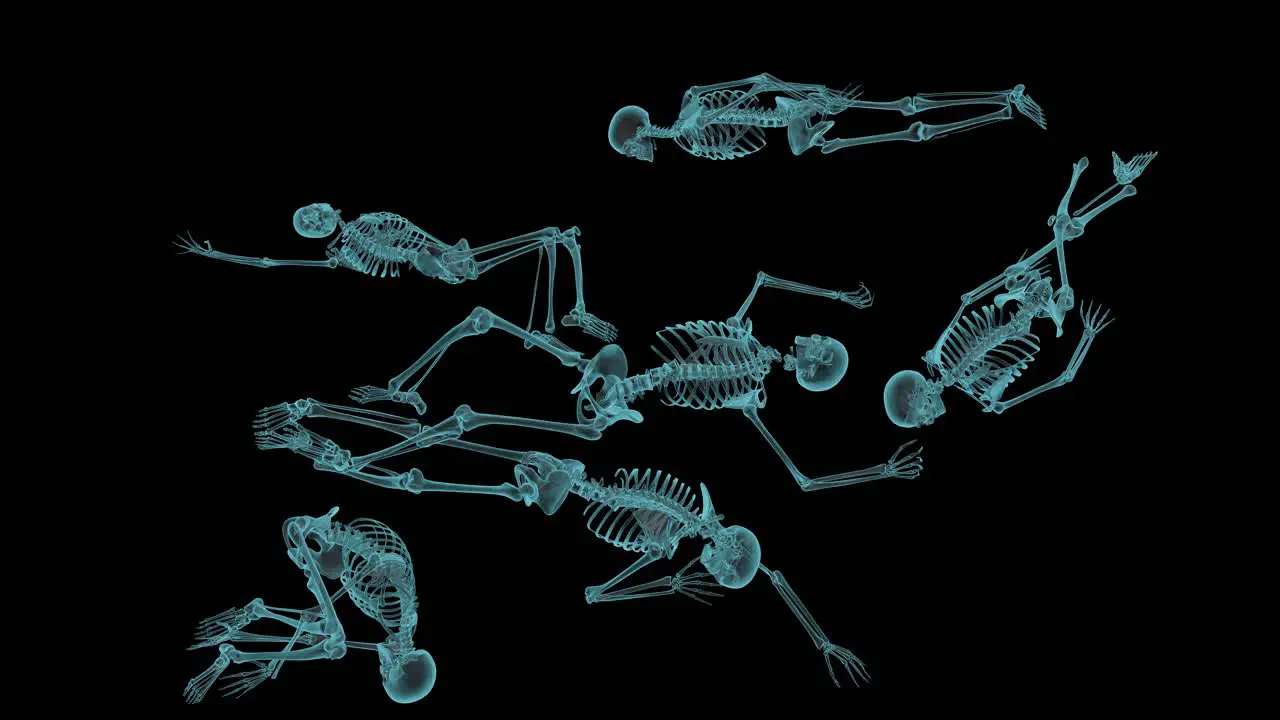 X-ray of human found during archaeology research