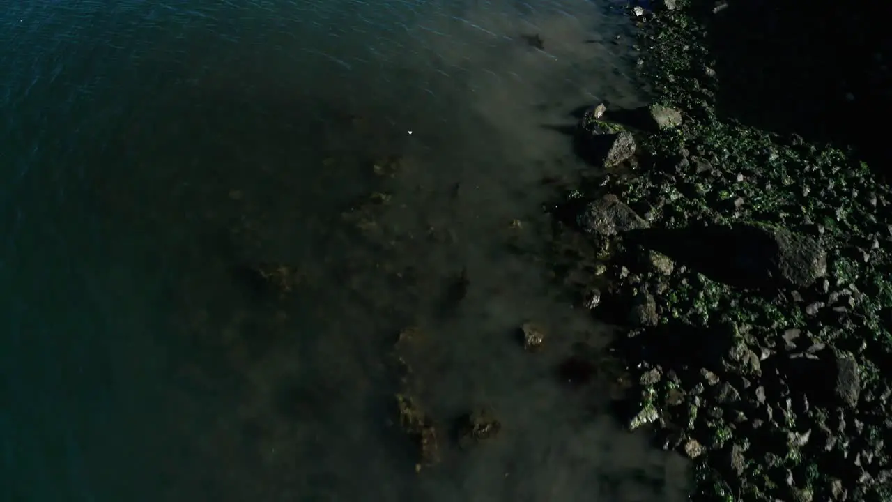 A green blue shoreline of rocks and bay water