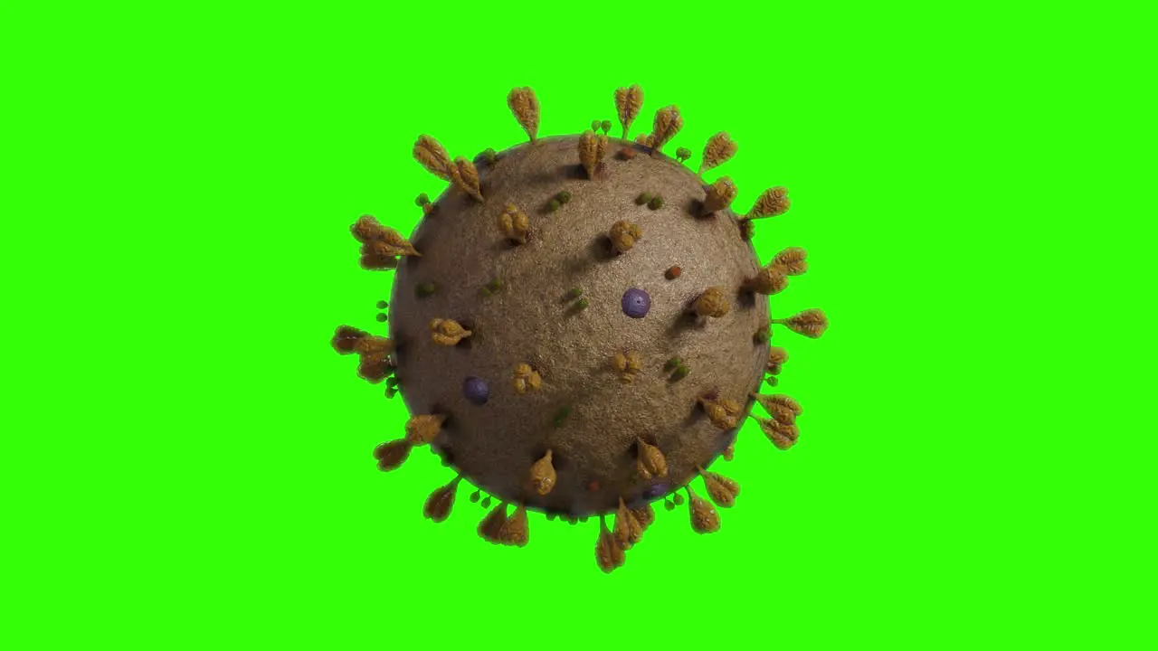 Animated Coronavirus cell on a green background