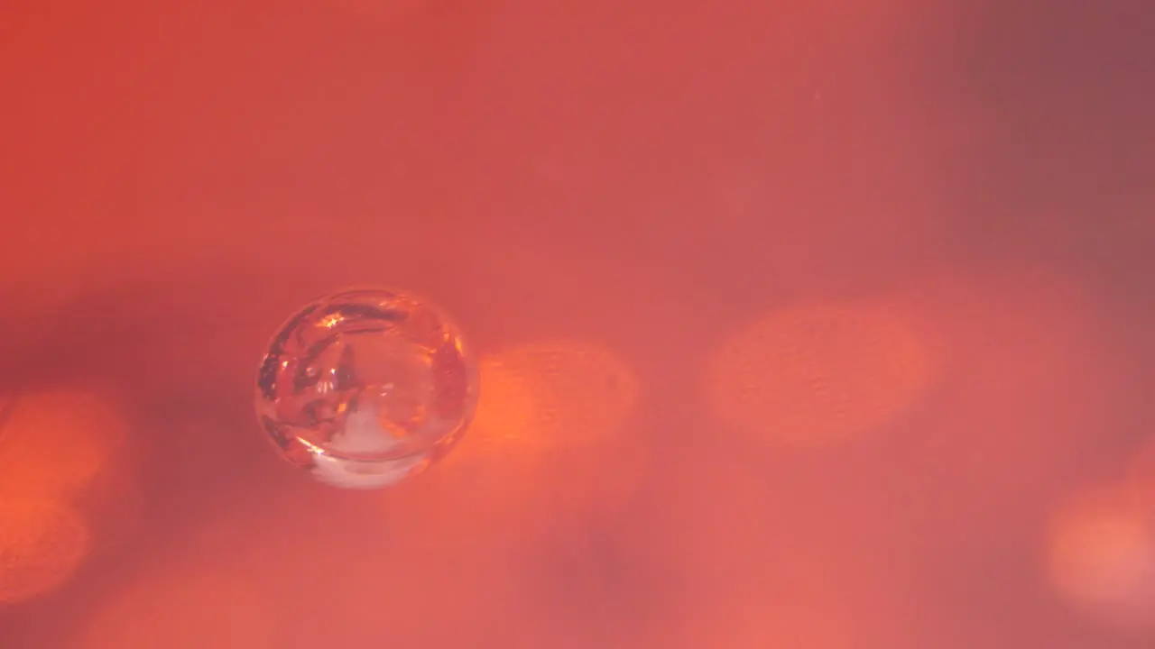 Macro view of blood cell in forensics laboratory static view