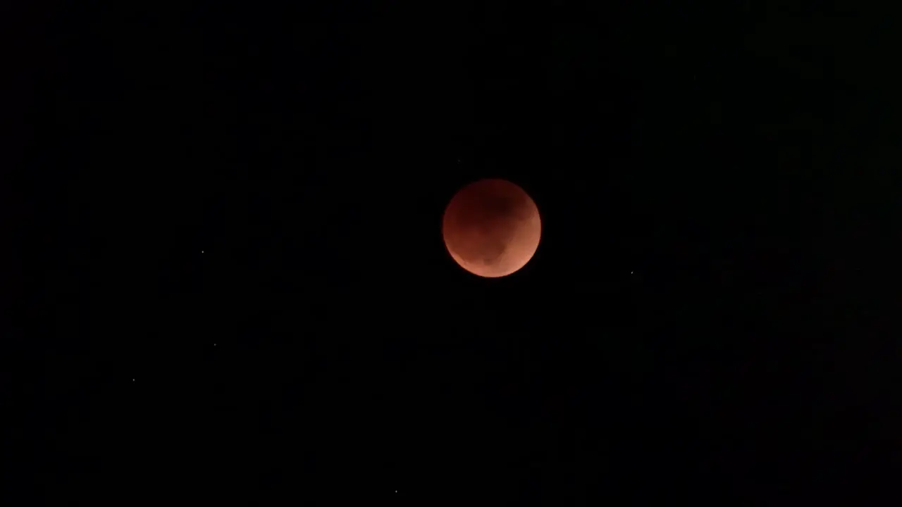 Super Flower Blood Moon Lunar Eclipse in Night Sky