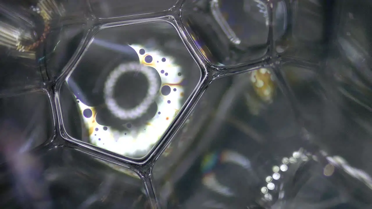 Hexagonal Bubble Membrane Structure Under Geometric Microscope View