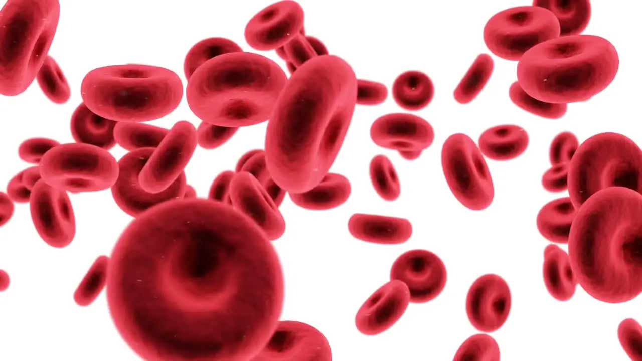 Digital generated red blood cells against white background