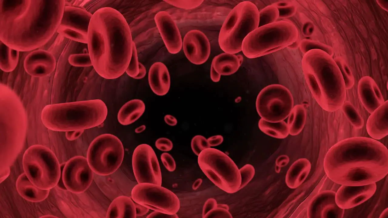 Digital generated red blood cells flowing through the arteries