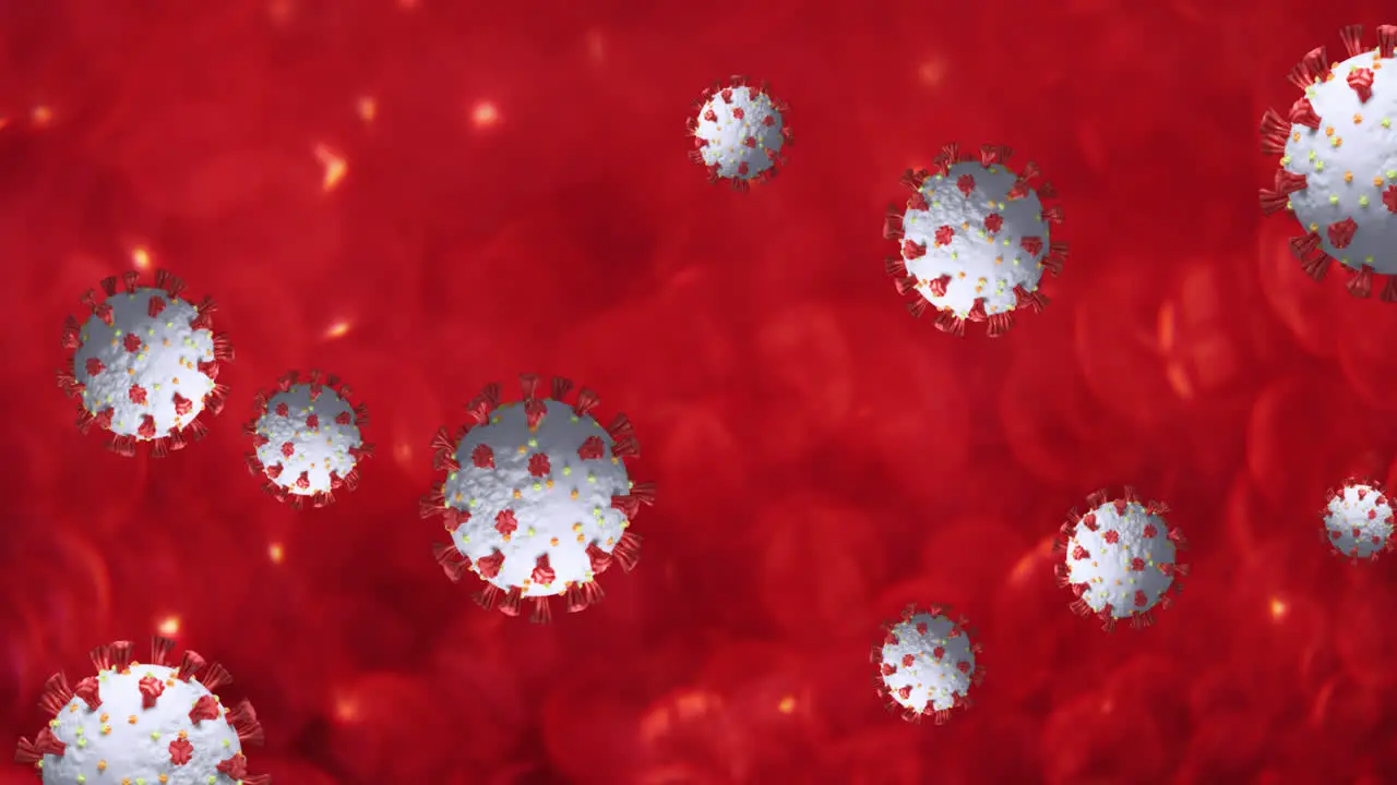 Animation of covid 19 cells floating over multiple red blood cells in background