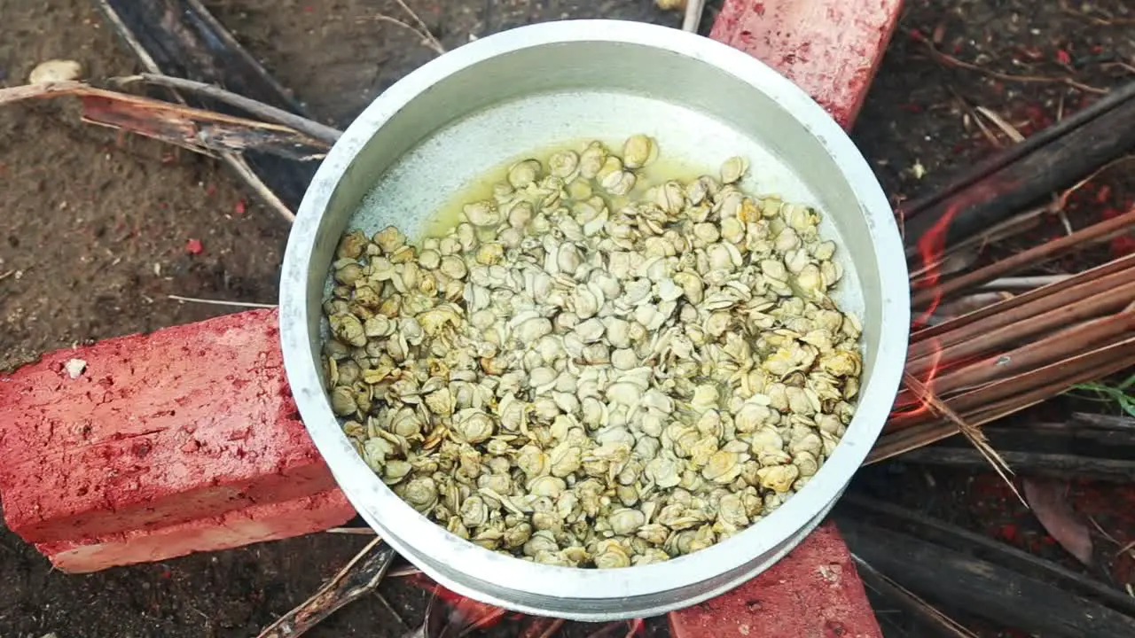 black clam meat  After placing the pot in the oven made of bricks the meat is filled with water and the cooking begins