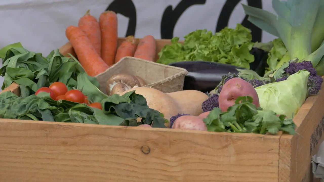 Beautiful basket with fresh vegetables filmed at a Food Festival in England