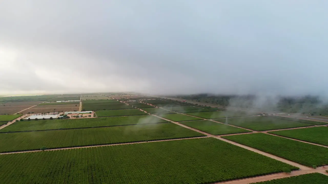 Green fields of vineyards on a cloudy flight