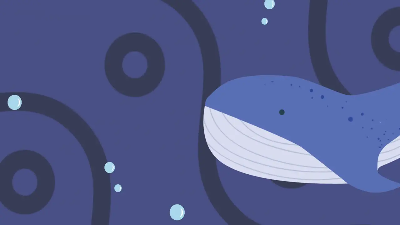 Animation of whale with bubbles and sea