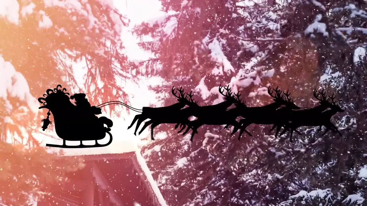 Animation of silhouette santa on sleigh flying with reindeer against snow covered trees