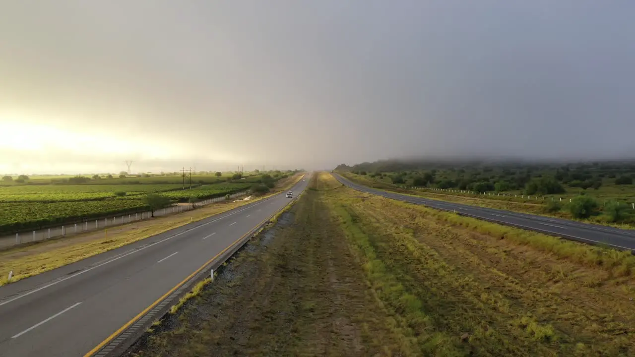 Road covered with mist in the morning