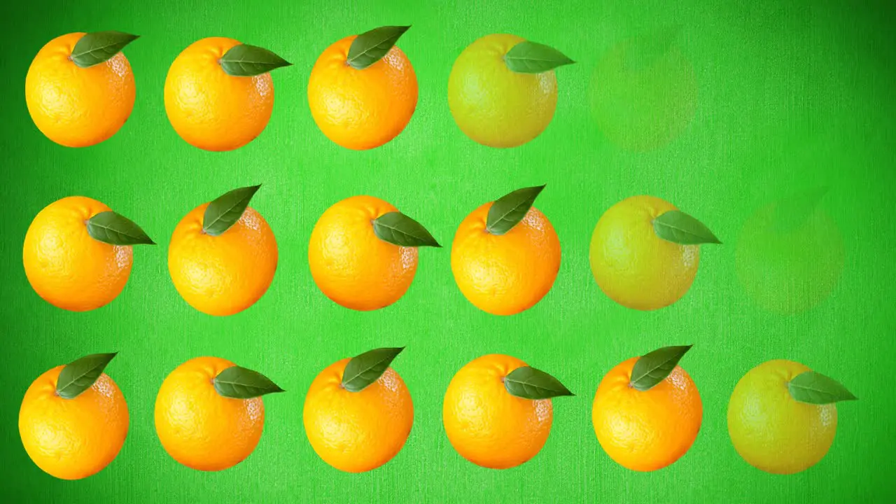 Animation of single oranges floating on green background