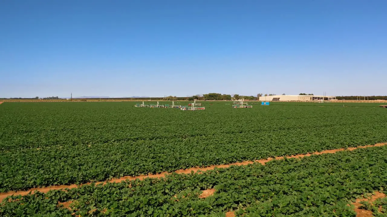 Fields of lettuce with tractors air flight