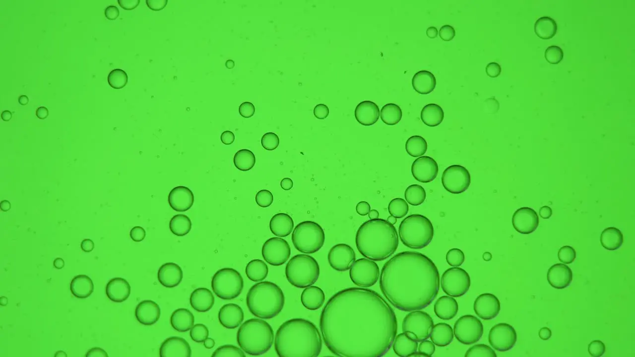 Clear Bubbles on a green screen floating up 4K Macro