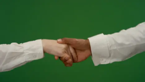 CU Man shaking woman's hand on green screen