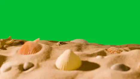 Summer Holiday Concept With Shells Starfish On Sandy Beach In Foreground Against Green Screen