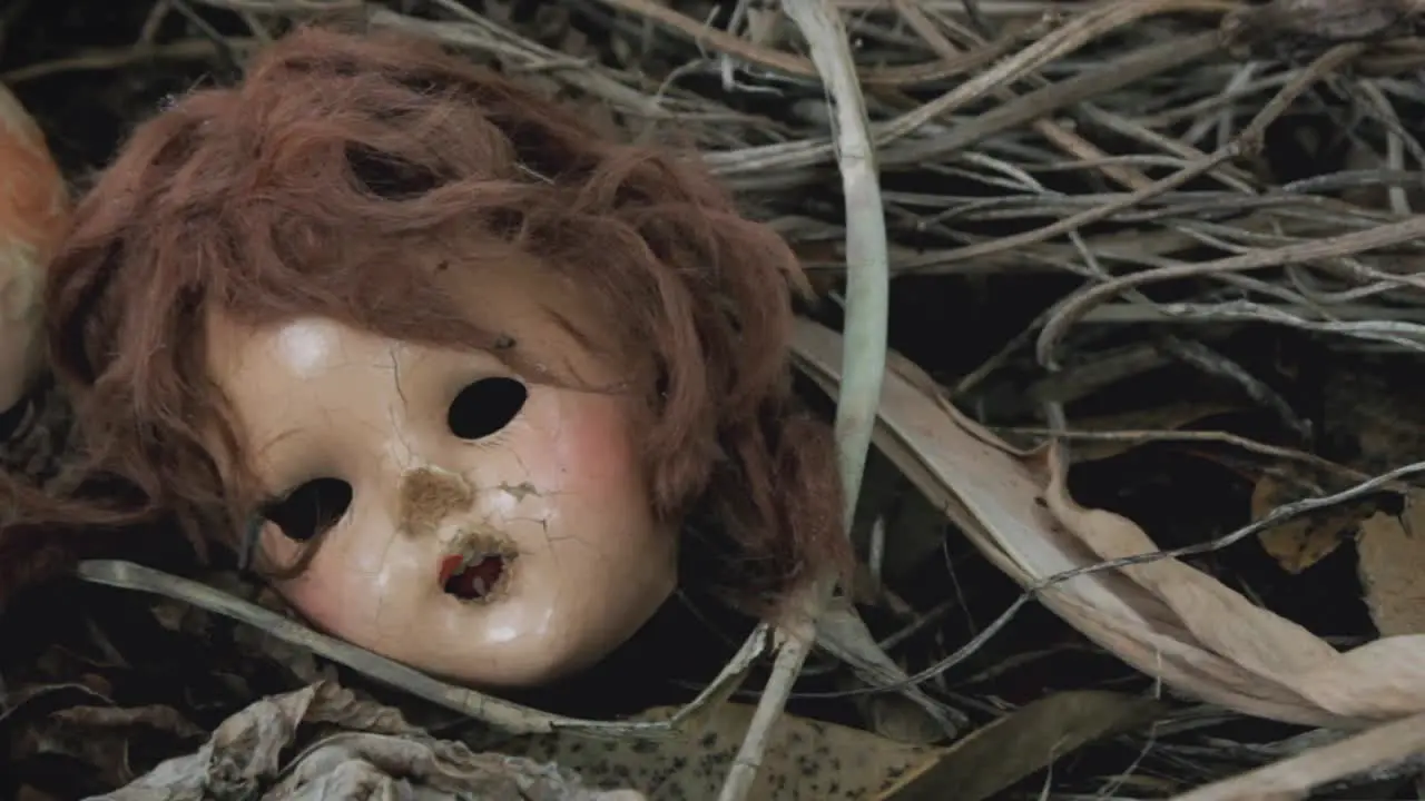 Decomposing Doll