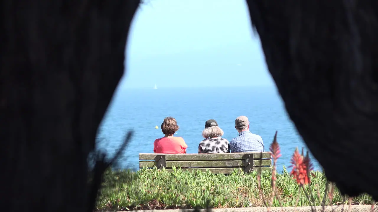 California people framed by tree root zoom out