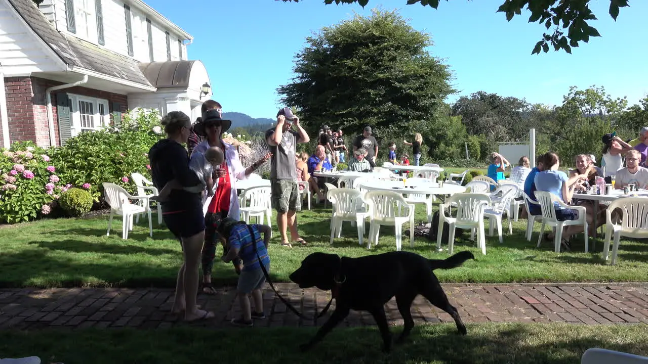 Solar eclipse party with boy and dog