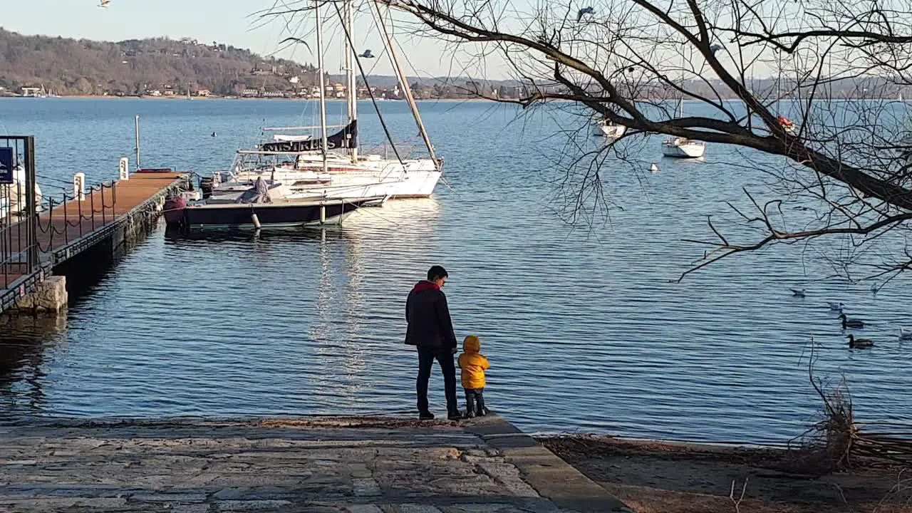 Father and little son feed seagulls on lakeside Slow motion zoom out