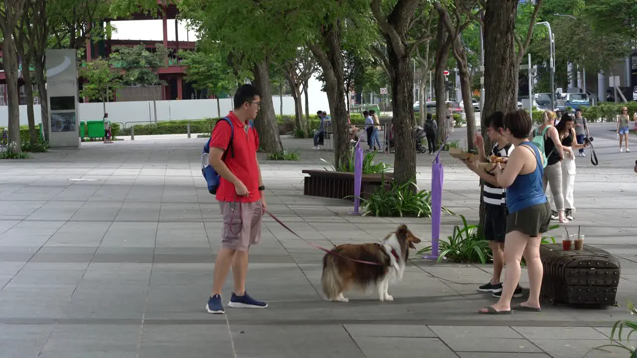 Family with a dog walking during weekend at Marina Bay in SIngapore