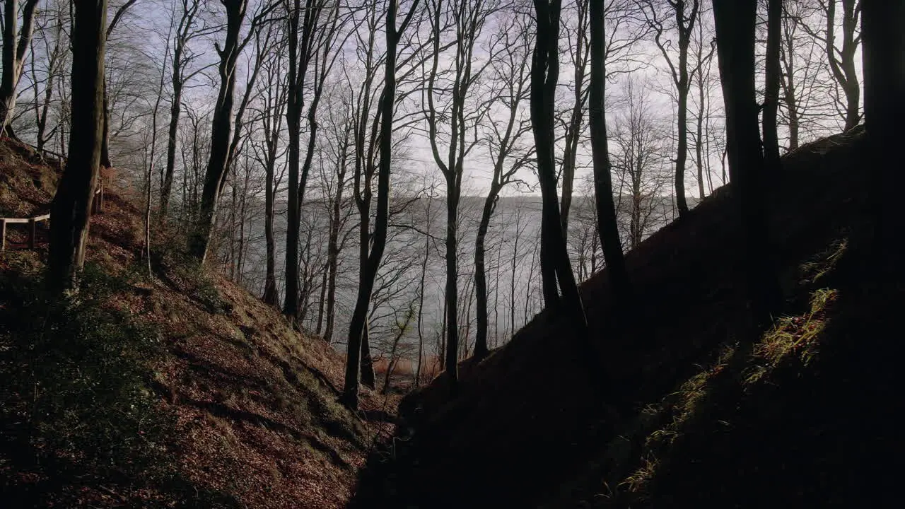 Canyon in a forest looking towards water on a beautiful sunny day in the winter