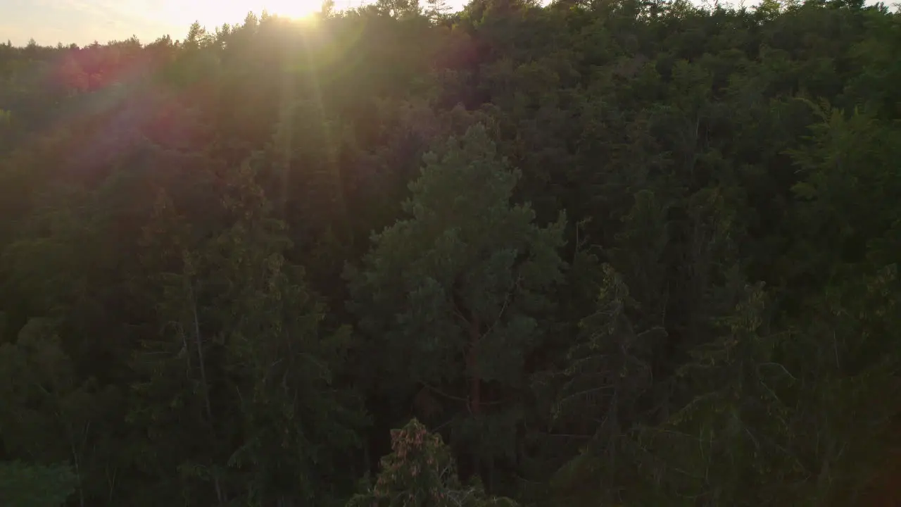 Bright Sun Shining Over Vistula Nature Reserve At Sunrise