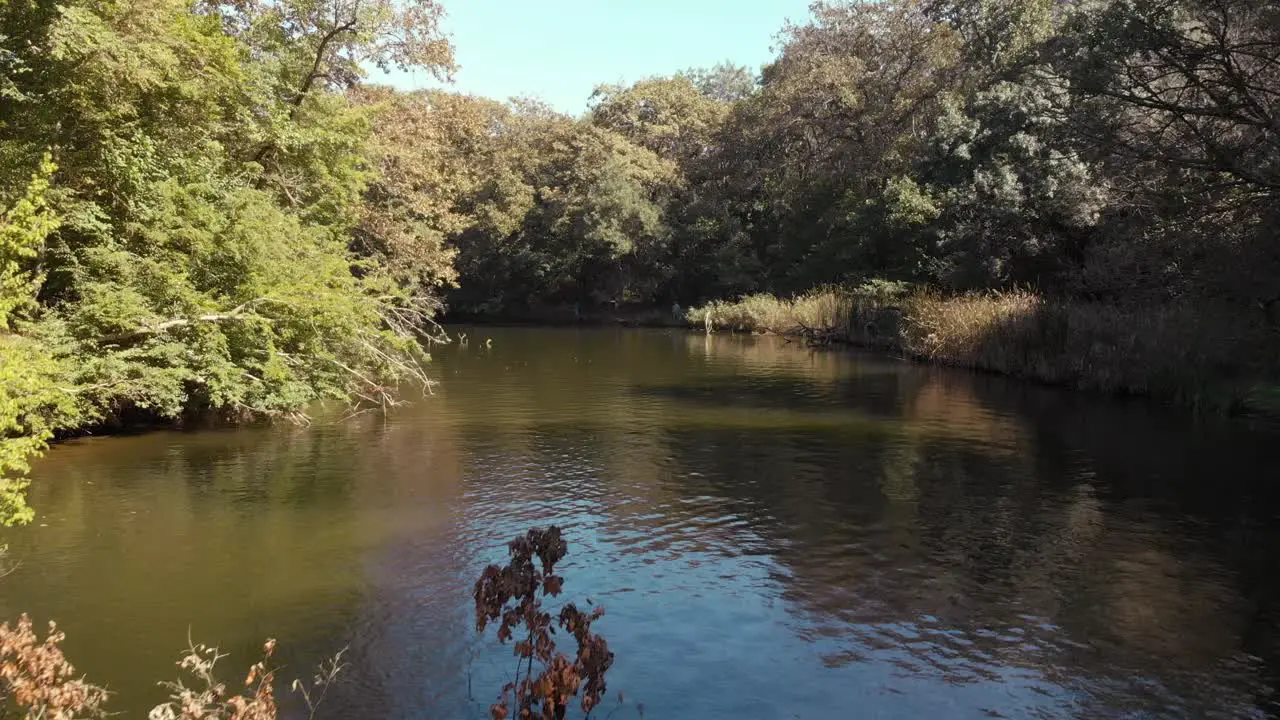 Aerial low shot with drone fly over river between trees in summer day