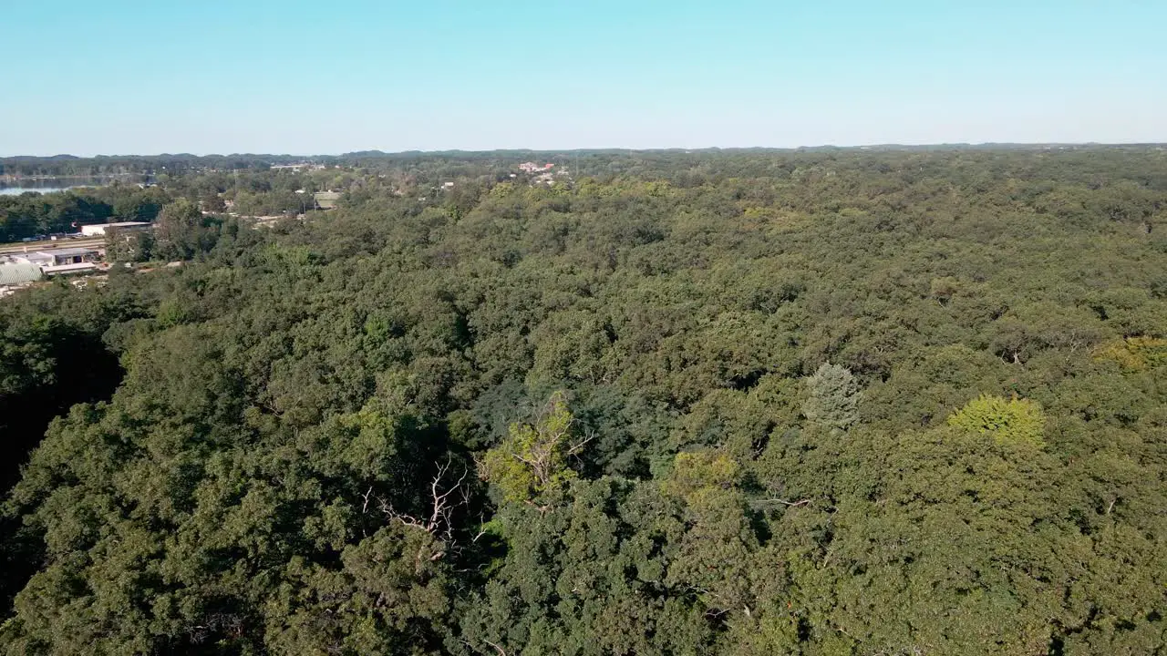 The nearby woods next to the water tower in Muskegon Heights