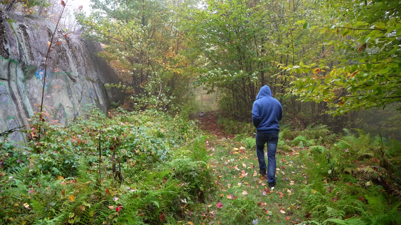 Man walkin in a forest trail in eastern Canada Autumn-1