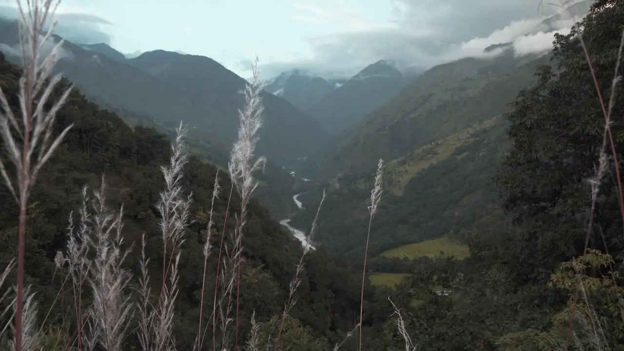 wheat in mountain ladscape with cloudy sky