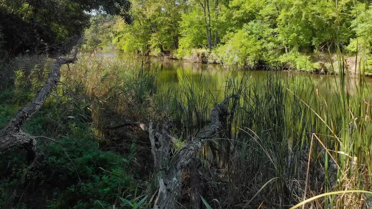 Drone take off from bushes and shot low over the river