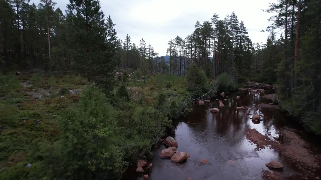 Drone flight along a stream in norway