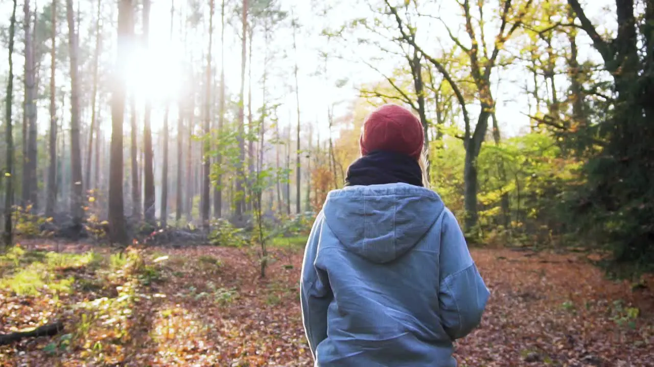 Slow Motion Woman Walking Through Colorful Forest on Sunny Autumn Day