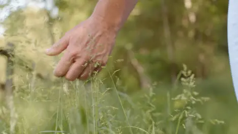 Tracking Shot Following Womans Hand Through Tall Grass