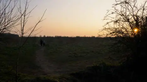 Tilting Shot of Dog Walkers In Field at Sunset