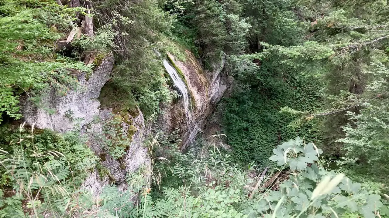 Small beautiful waterfall in the mountains surrounded by rocks and green trees