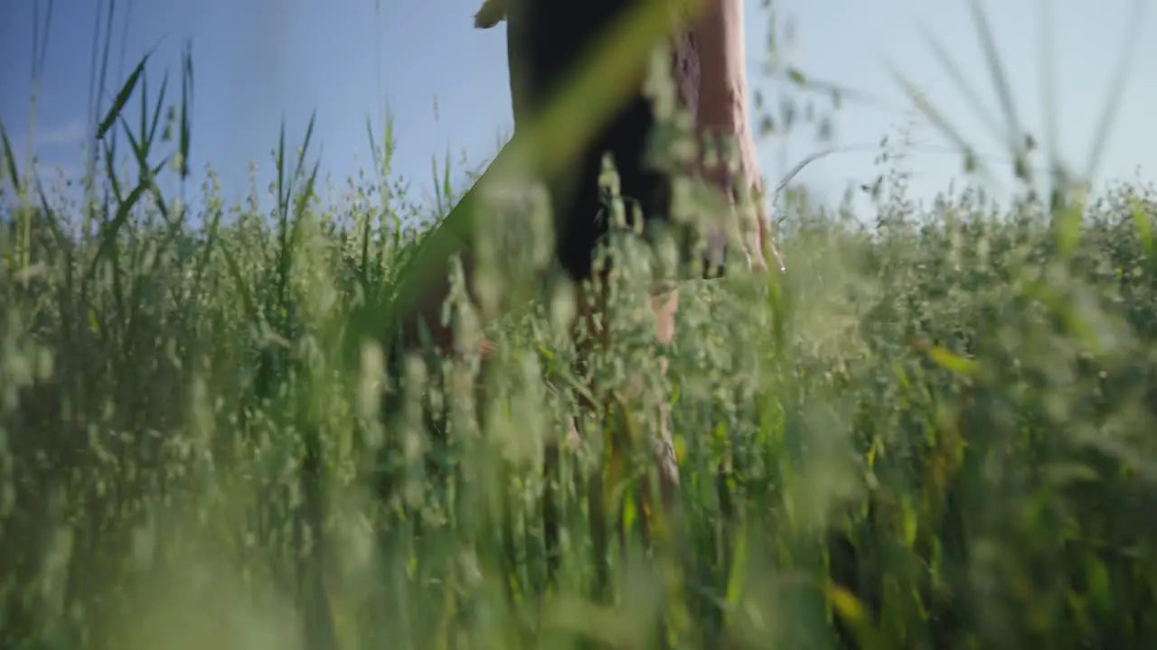 Woman walking in field with her hand in the grass