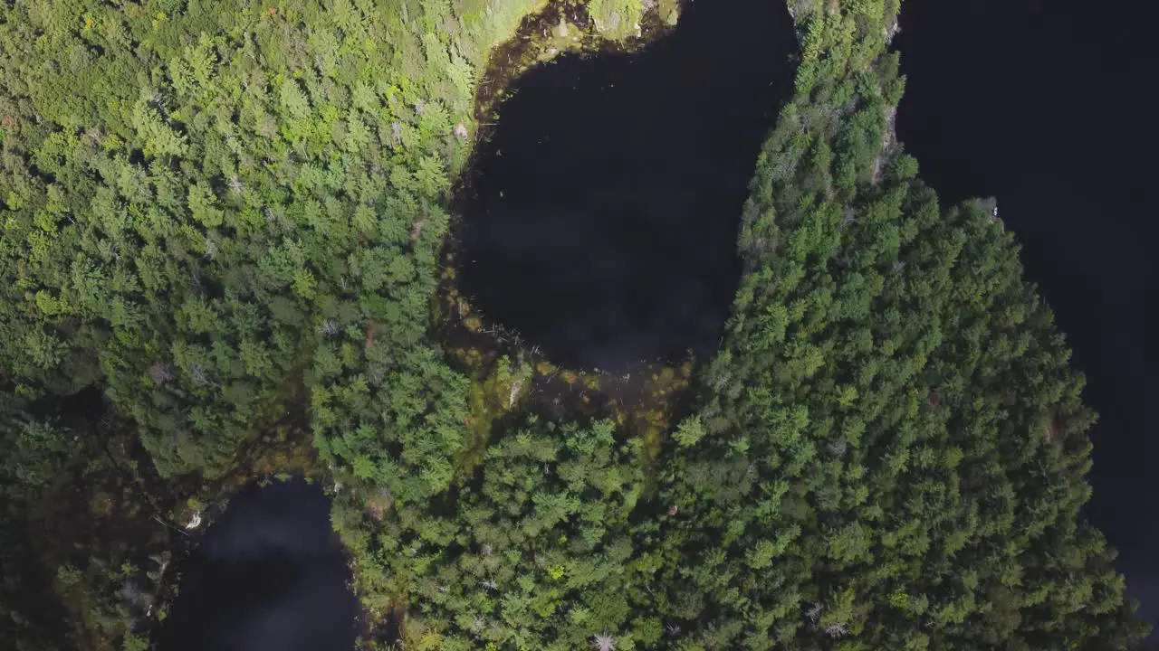 Top-down drone view on remote lakes surrounded by woods and trees with beautiful reflections and unique sunlight hb08