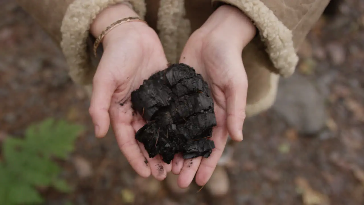 Hands holding soil in woodland area