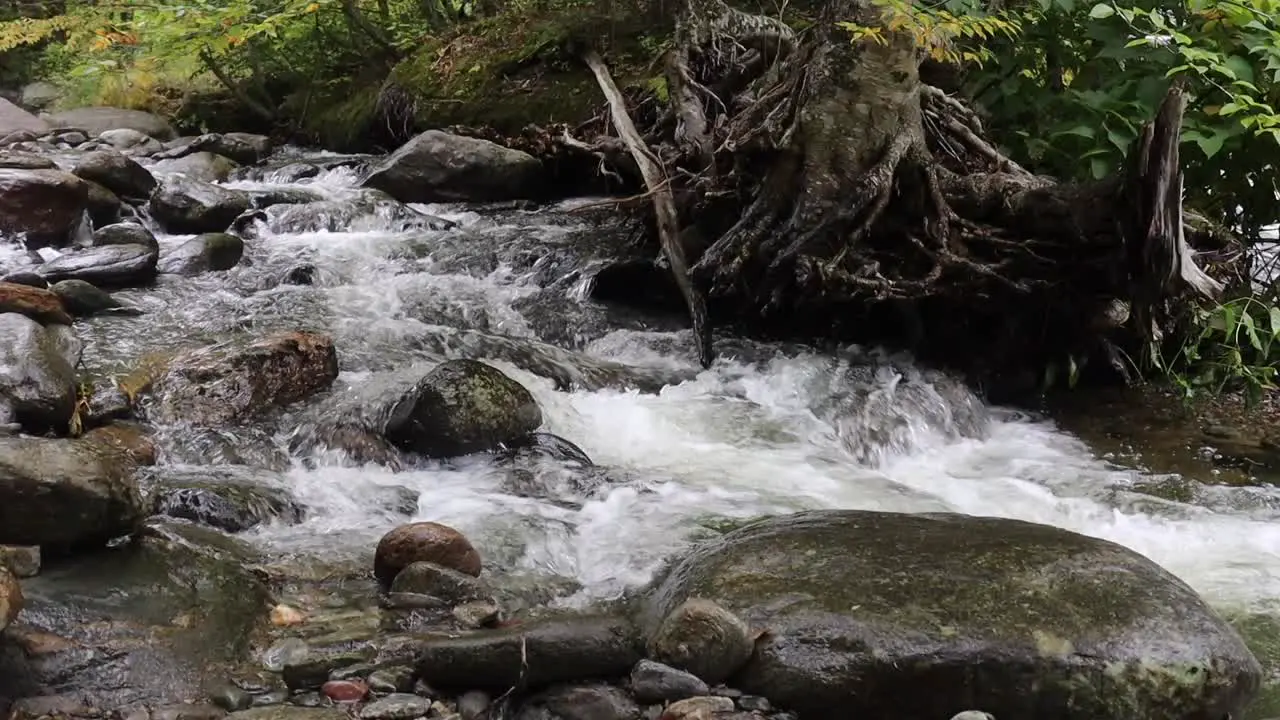 Little river flowing in Vermont