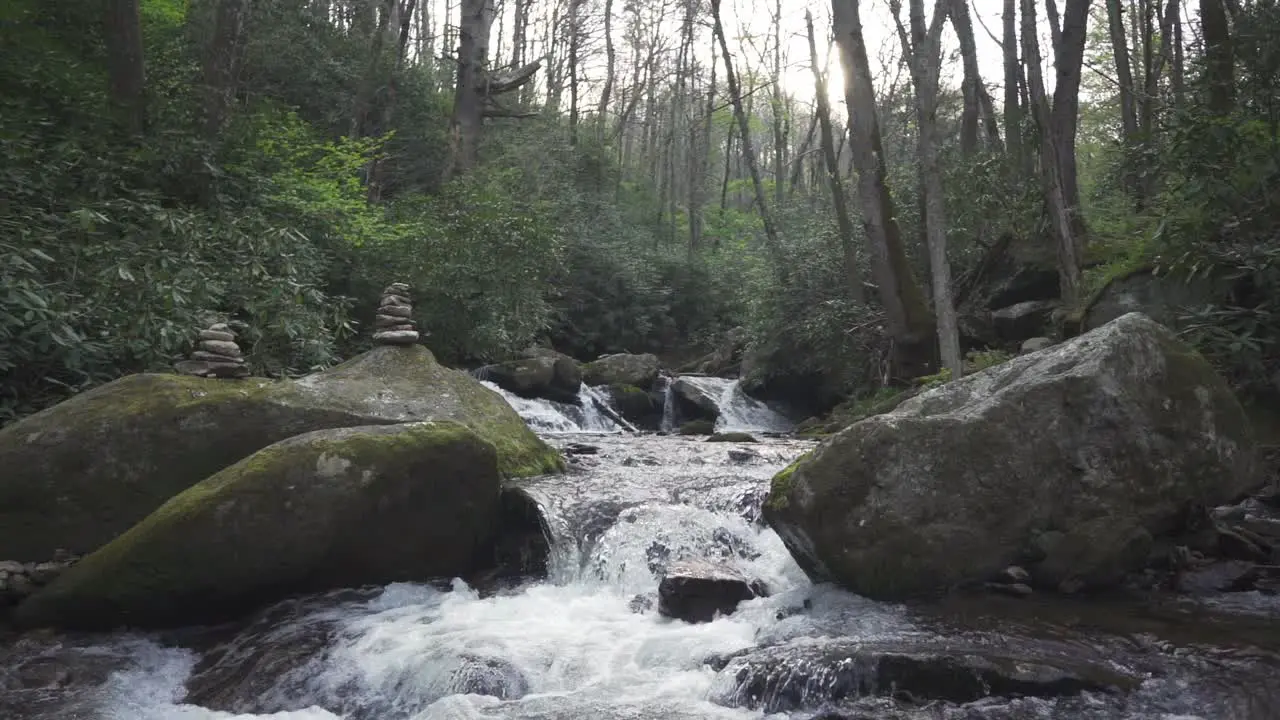 Stationary shot of a peaceful location in the woods